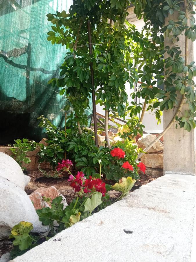 Guest House Inara Neum Εξωτερικό φωτογραφία